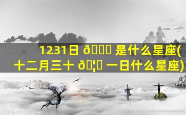 1231日 💐 是什么星座(十二月三十 🦊 一日什么星座)